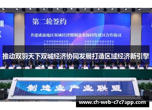 推动双羽天下双城经济协同发展打造区域经济新引擎 推动双羽天下双城经济协同发展打造区域经济新引擎